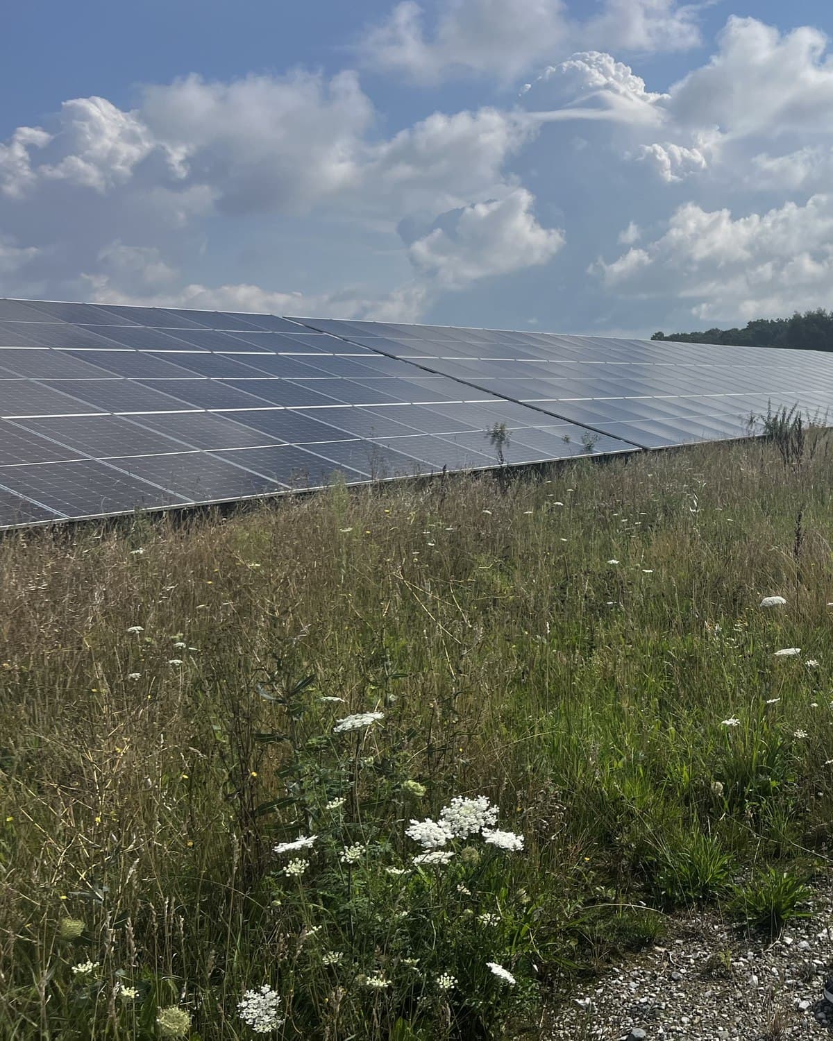 Solarpark mit Batteriespeicher