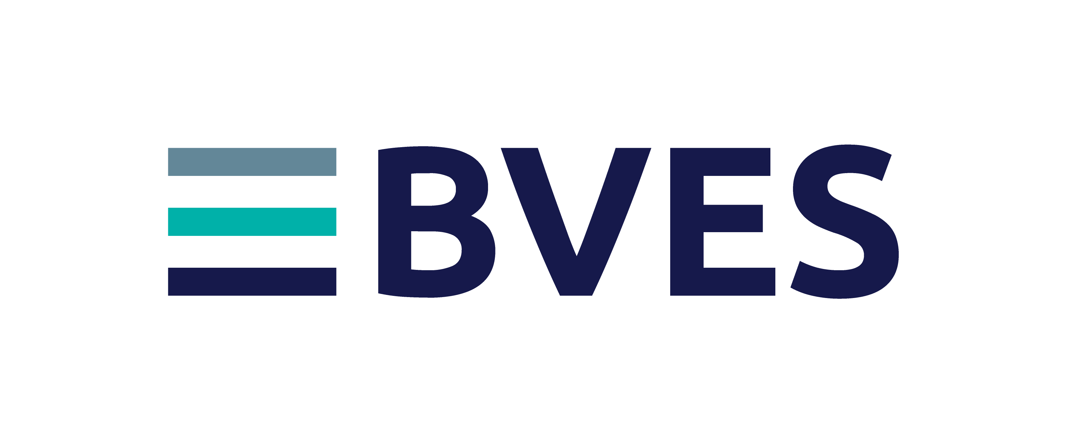 BVES – Bundesverband Energiespeicher